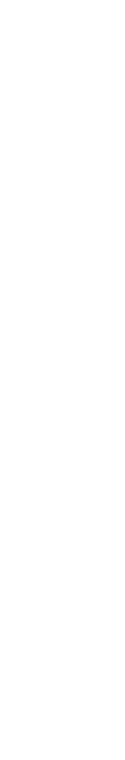 RACE REPORT LIST